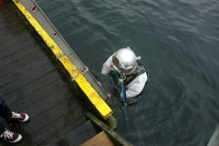 image38