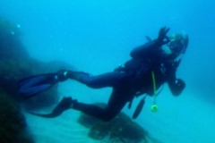 image39